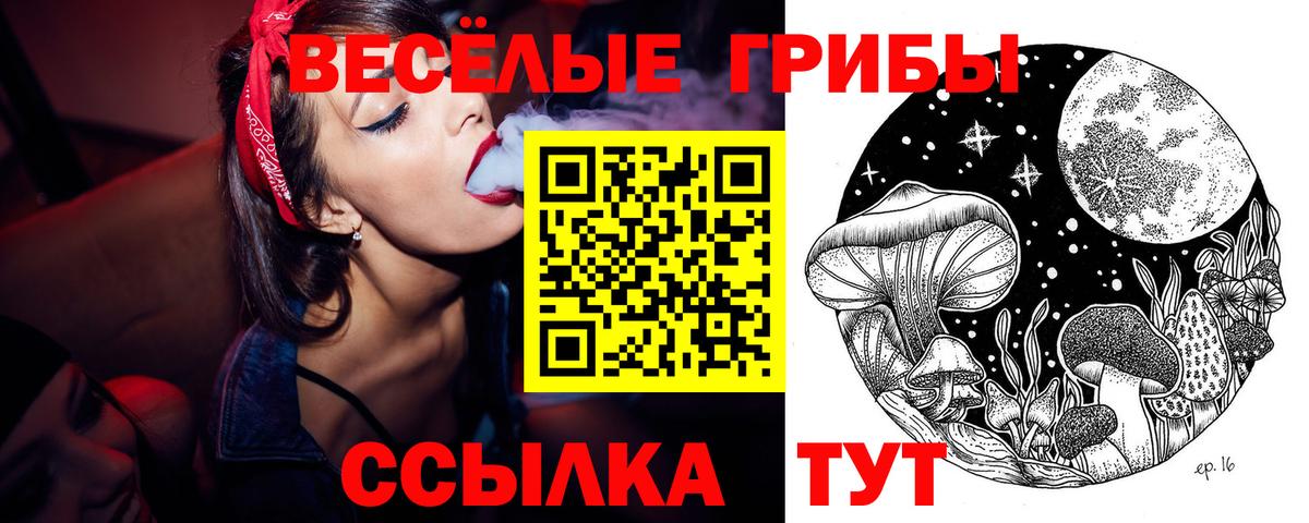 Псилоцибиновые грибы ЛСД Кисловодск